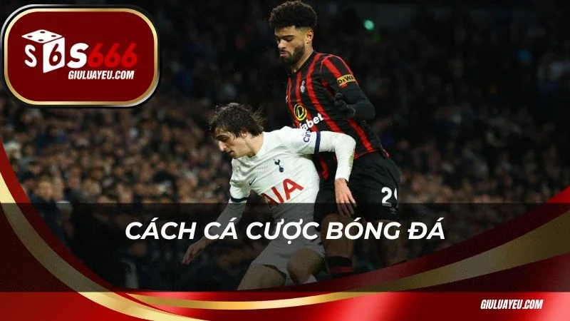 Trực tiếp bóng đá Cách cá cược bóng đá