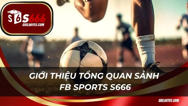 FB Sports S666 Giới thiệu tổng quan sảnh FB Sports S666